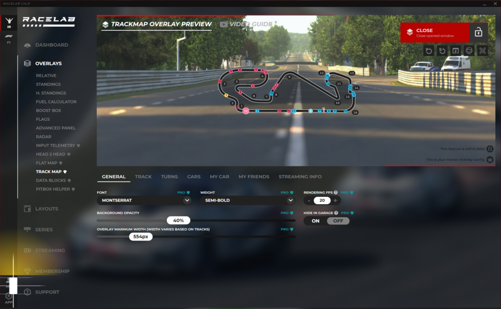 Driver input telemetry overlay