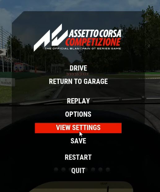 Pause menu in ACC: select View Settings