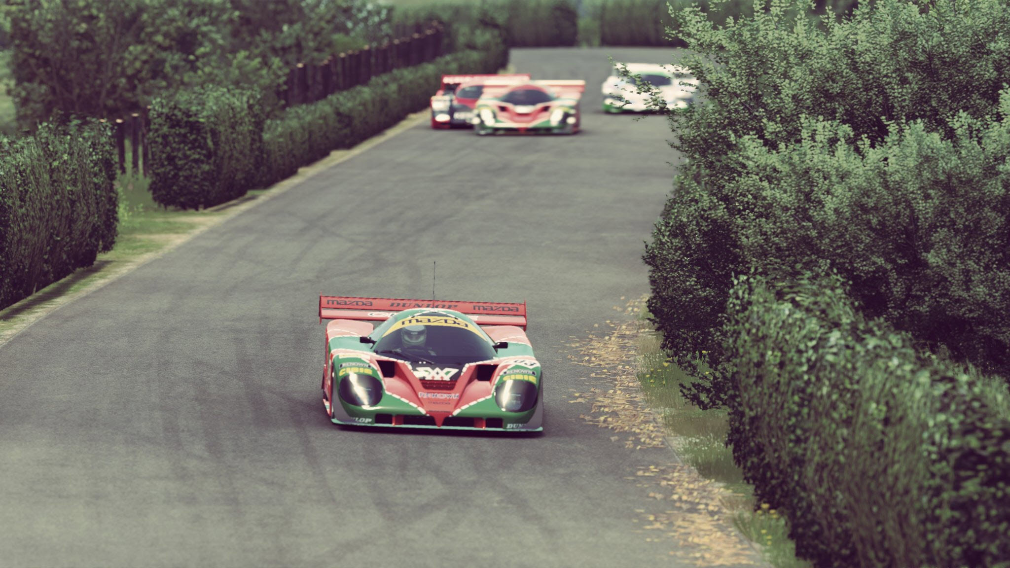 In-Depth Comparison: rFactor 2 vs. Automobilista 2