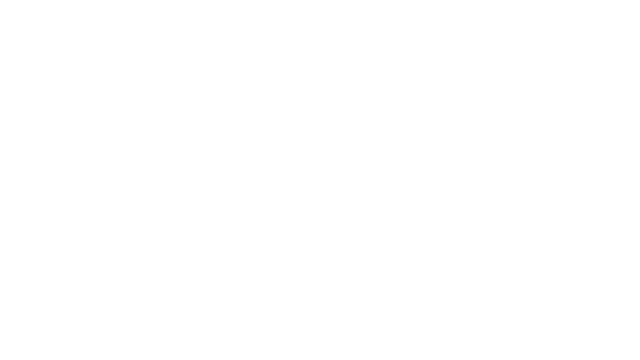 RaceRoom Racing Experience